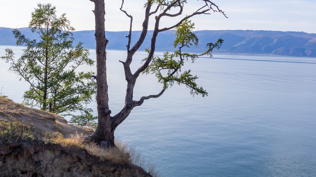 How does pressure washer save you money?